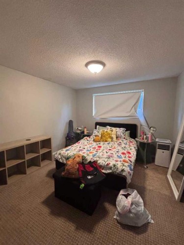 62 Carleton Road West, Lethbridge, AB 