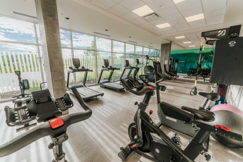 331-102 Scenic Drive North, Lethbridge, AB - Indoor Photo Showing Gym Room