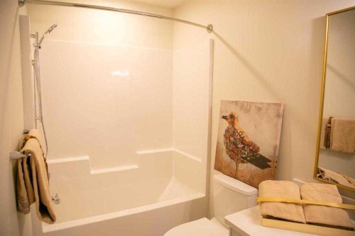 331-102 Scenic Drive North, Lethbridge, AB - Indoor Photo Showing Bathroom