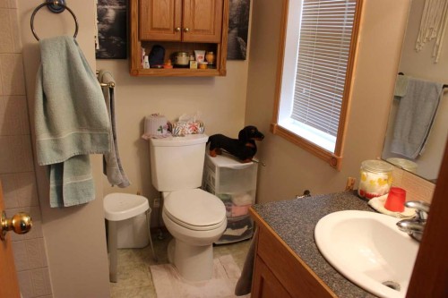 61048 Hwy 844, Raymond, AB - Indoor Photo Showing Bathroom