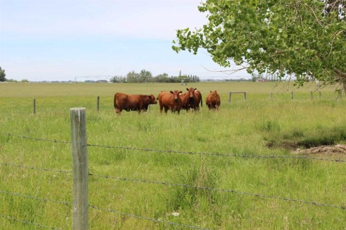 61048 Hwy 844, Raymond, AB - Outdoor With View