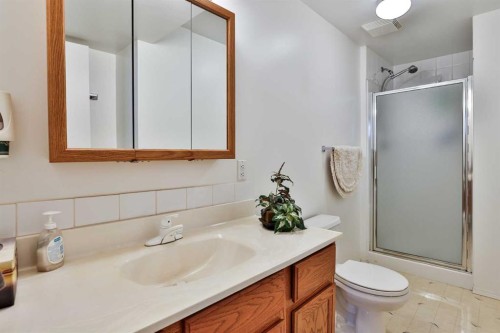 2265 27 Avenue South, Lethbridge, AB - Indoor Photo Showing Bathroom