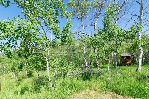 2517 21 Avenue West, Coleman, AB 