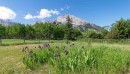 2517 21 Avenue West, Coleman, AB 
