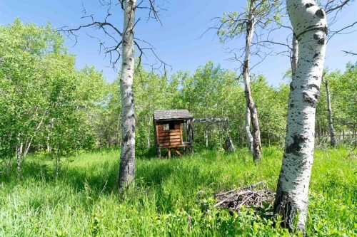 2517 21 Avenue West, Coleman, AB 
