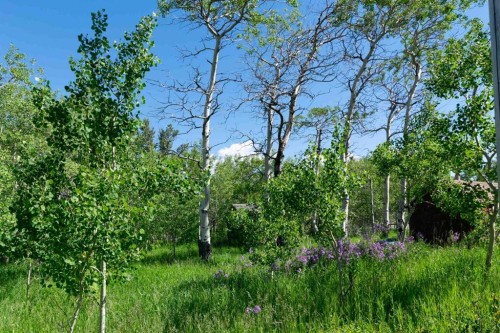 2517 21 Avenue West, Coleman, AB 