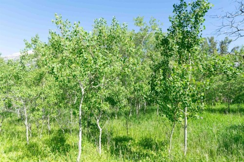 2517 21 Avenue West, Coleman, AB 