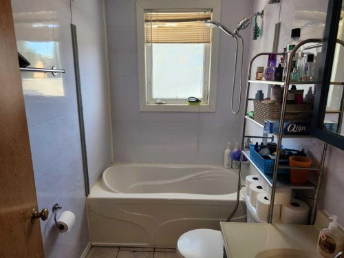 303 2 Avenue, Vauxhall, AB - Indoor Photo Showing Bathroom