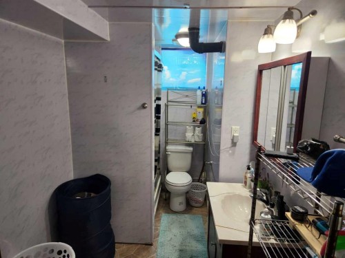 303 2 Avenue, Vauxhall, AB - Indoor Photo Showing Bathroom