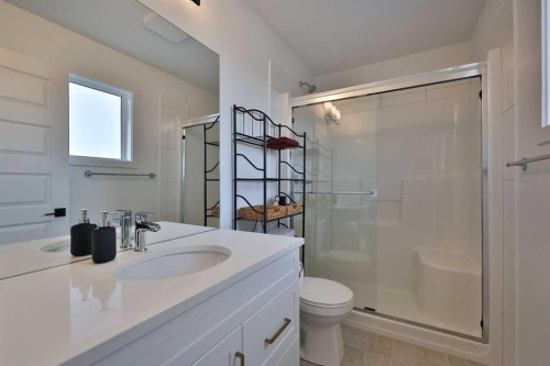 538 Malahat Green West, Lethbridge, AB - Indoor Photo Showing Bathroom