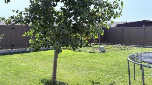 253 Westview Crescent, Bow Island, AB 