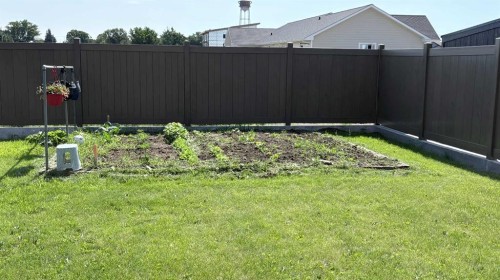 253 Westview Crescent, Bow Island, AB 