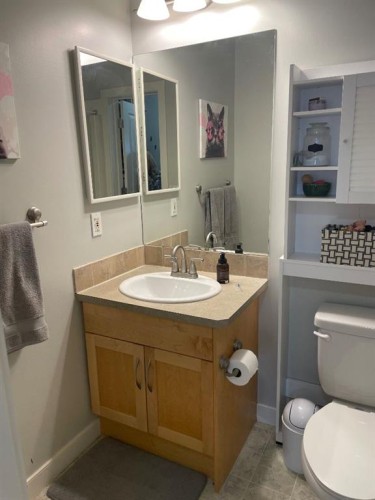 320-2233 34 Avenue Sw, Calgary, AB - Indoor Photo Showing Bathroom