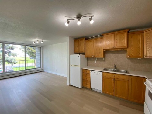 3-222 Mayor Magrath Drive North, Lethbridge, AB - Indoor Photo Showing Kitchen With Double Sink