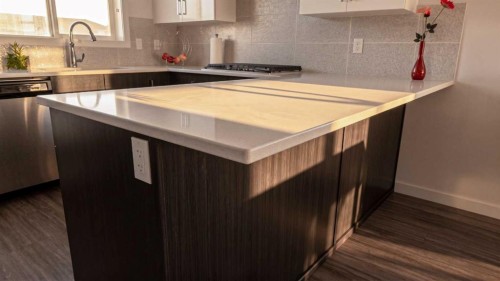 318 Lynx Road North, Lethbridge, AB - Indoor Photo Showing Kitchen With Upgraded Kitchen