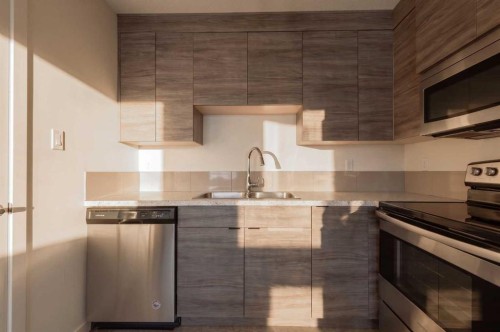 318 Lynx Road North, Lethbridge, AB - Indoor Photo Showing Kitchen With Double Sink With Upgraded Kitchen