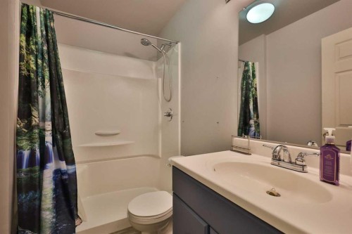 4602 6 Street, Coalhurst, AB - Indoor Photo Showing Bathroom