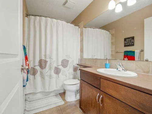 17 Coalbanks Link West, Lethbridge, AB - Indoor Photo Showing Bathroom