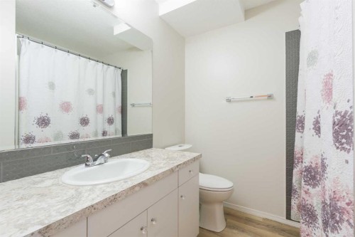 19 Chilcotin Lane West, Lethbridge, AB - Indoor Photo Showing Bathroom