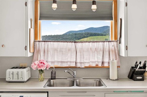 7826 22 Avenue, Coleman, AB - Indoor Photo Showing Kitchen With Double Sink