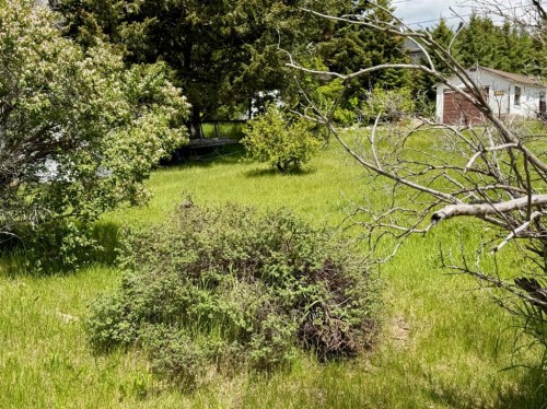 14825 21 Avenue South, Frank, AB - Outdoor