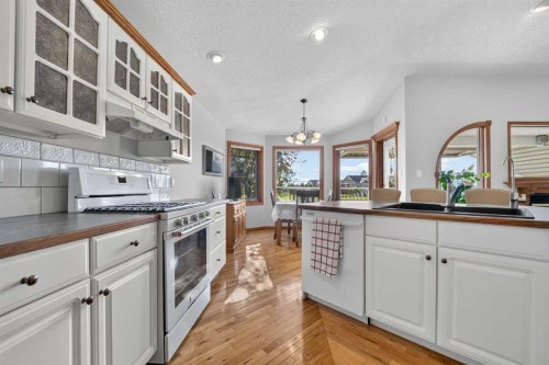 27 Cougar Bay North, Lethbridge, AB - Indoor Photo Showing Kitchen With Double Sink