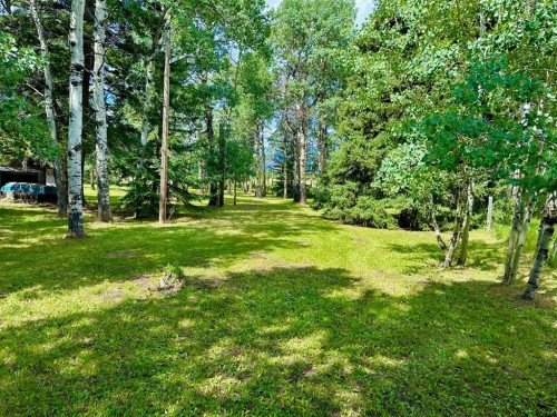 23005 27 Avenue, Bellevue, AB 