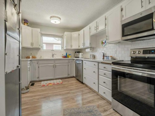 66 Pheasant Road North, Lethbridge, AB - Indoor Photo Showing Kitchen