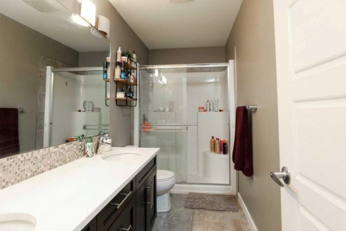 567 Moonlight Lane West, Lethbridge, AB - Indoor Photo Showing Bathroom