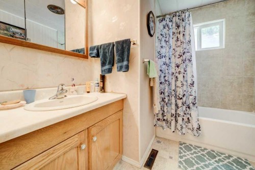 20541 25Th Avenue, Bellevue, AB - Indoor Photo Showing Bathroom
