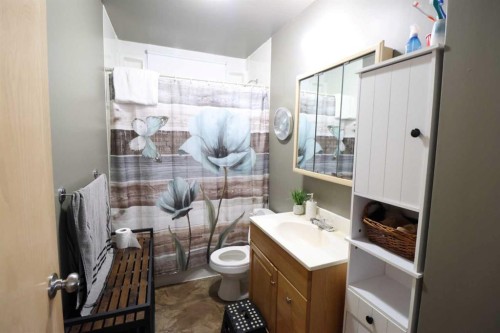 5319 45 Ave, Taber, AB - Indoor Photo Showing Bathroom