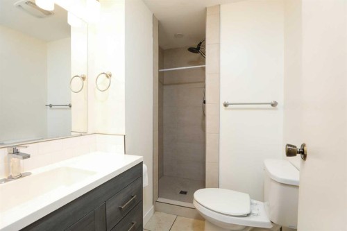 41 Rutgers Crescent West, Lethbridge, AB - Indoor Photo Showing Bathroom
