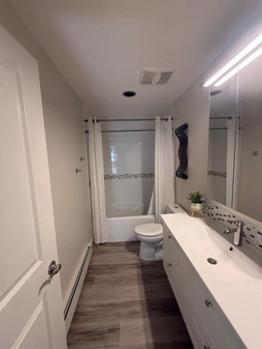 3733 21 Avenue South, Lethbridge, AB - Indoor Photo Showing Bathroom