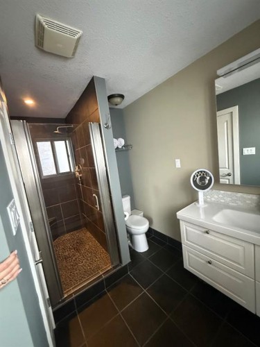 3733 21 Avenue South, Lethbridge, AB - Indoor Photo Showing Bathroom