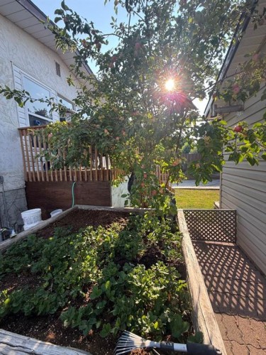 3733 21 Avenue South, Lethbridge, AB - Outdoor With Deck Patio Veranda