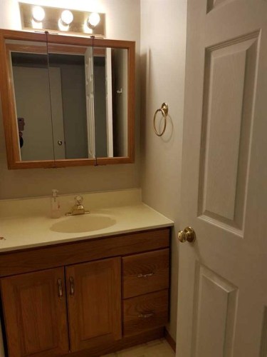 39 Meadowlark Boulevard North, Lethbridge, AB - Indoor Photo Showing Bathroom