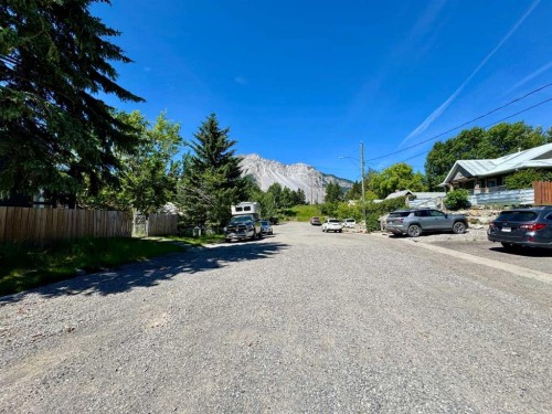 2229 210 Street, Bellevue, AB - Outdoor