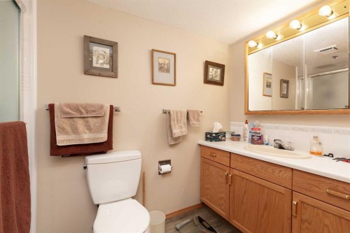 104-75 1 Avenue South, Lethbridge, AB - Indoor Photo Showing Bathroom