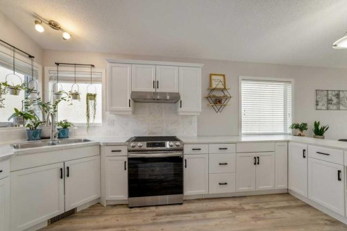 215 Grand River Boulevard West, Lethbridge, AB - Indoor Photo Showing Kitchen With Double Sink