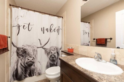 2-20 Cougar Cove North, Lethbridge, AB - Indoor Photo Showing Bathroom