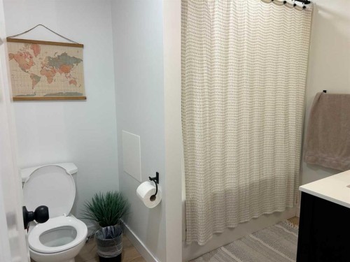 949 3 Avenue North, Vauxhall, AB - Indoor Photo Showing Bathroom