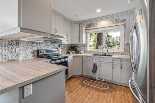 42 Honeysuckle Road North, Lethbridge, AB - Indoor Photo Showing Kitchen With Upgraded Kitchen