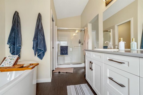 489 Devonia Way West, Lethbridge, AB - Indoor Photo Showing Bathroom