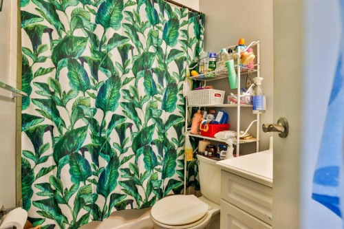 1717 St Edward Boulevard North, Lethbridge, AB - Indoor Photo Showing Bathroom