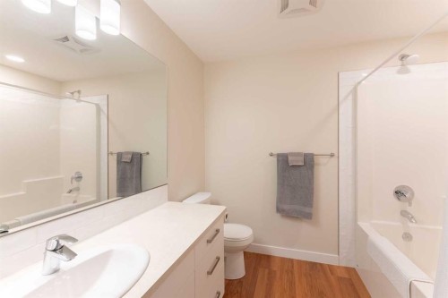 1060 Caledonia Place West, Lethbridge, AB - Indoor Photo Showing Bathroom