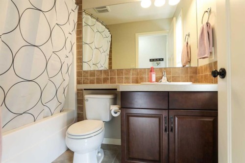 113 Lynx Road North, Lethbridge, AB - Indoor Photo Showing Bathroom