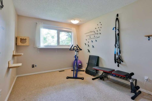 8-29 Brock Place West, Lethbridge, AB - Indoor Photo Showing Gym Room