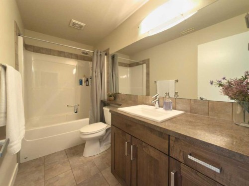 534 Canyon Cove West, Lethbridge, AB - Indoor Photo Showing Bathroom