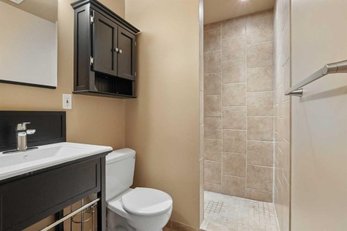191 Jessie Robinson Close North, Lethbridge, AB - Indoor Photo Showing Bathroom