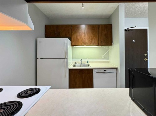 301-420 Columbia Boulevard West, Lethbridge, AB - Indoor Photo Showing Kitchen